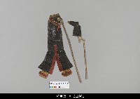 藏品(中國湖北皮影戲偶身)的圖片